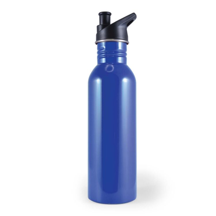 Picture of Hike Drink Bottle 