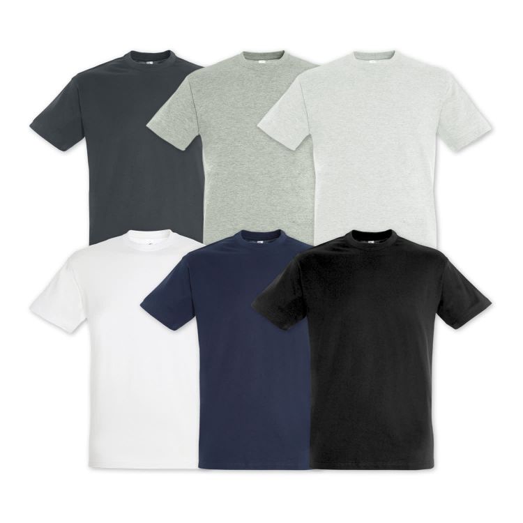 Picture of SOLS Regent Adult T-Shirt