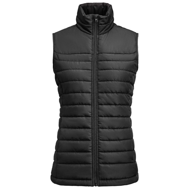 Picture of Arches Women's Padded Vest
